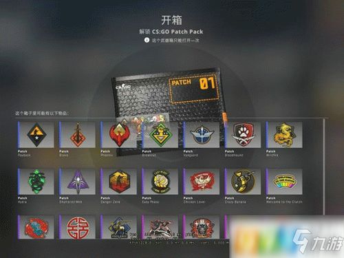 csgo哪个探员会说nb