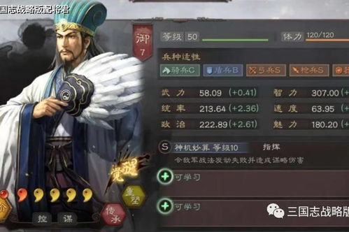 三国志战略版配将君的个人展示页 