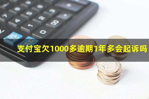 支付宝欠1000多逾期1年多会起诉吗?支付宝1000逾期一年亲身经历