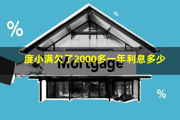 度小满欠了2000多一年利息多少?度小满 可以欠多久