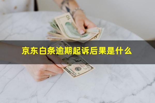 京东白条逾期起诉后果是什么