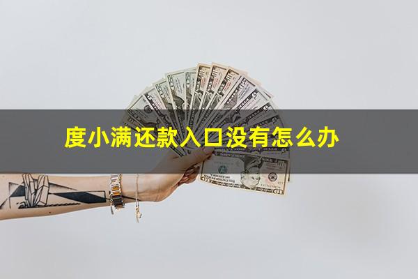 度小满还款入口没有怎么办?度小满正常还款却不能再借款