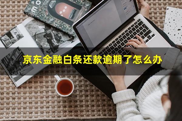 京东金融白条还款逾期了怎么办