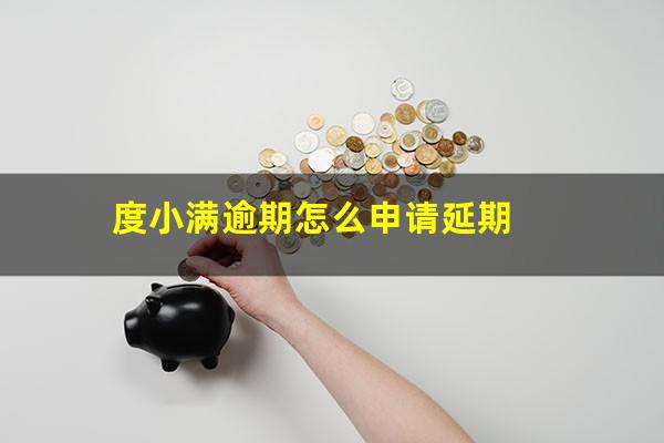 度小满逾期怎么申请延期?度小满延期几天上征信