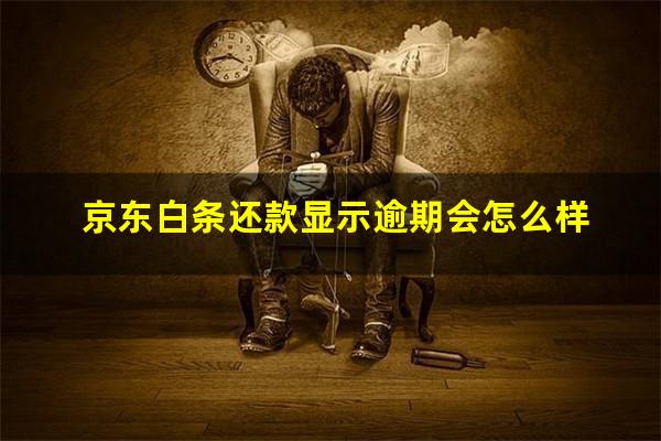 京东白条还款显示逾期会怎么样