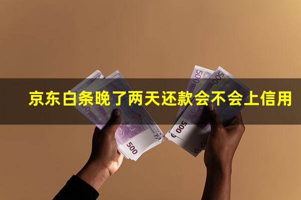 京东白条晚了两天还款会不会上信用?京东白条晚两天还款怎么会这样