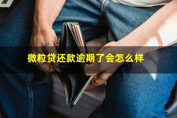 微粒贷还款逾期了会怎么样