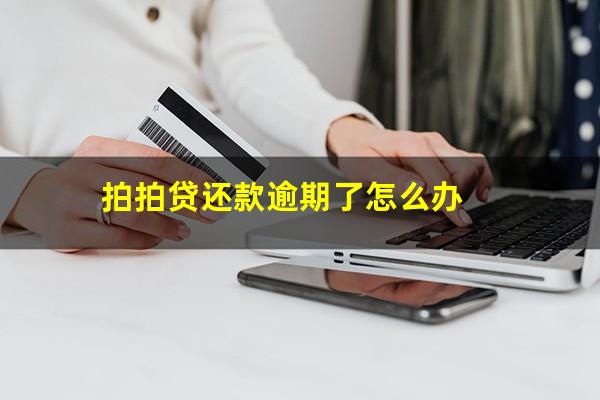 拍拍贷还款逾期了怎么办?拍拍贷还款逾期了怎么办啊