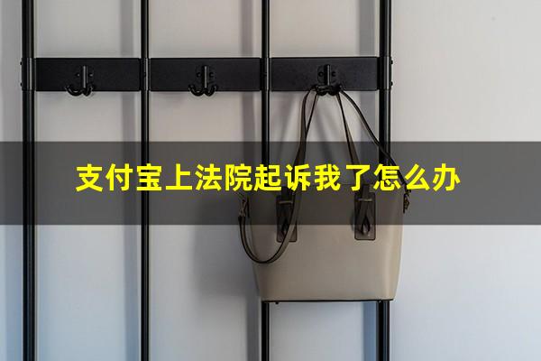 支付宝上法院起诉我了怎么办?被支付宝告到法院