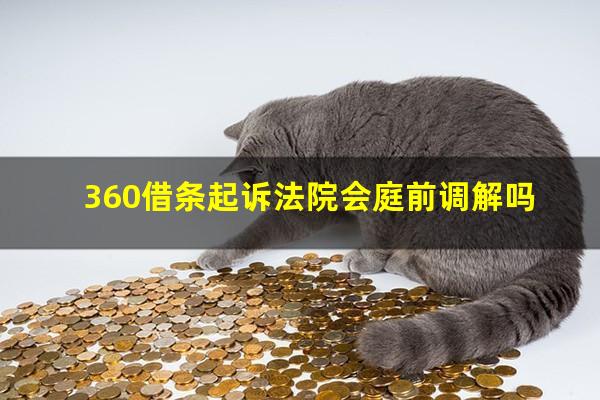 360借条起诉法院会庭前调解吗