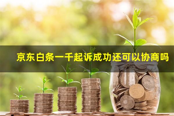 京东白条一千起诉成功还可以协商吗