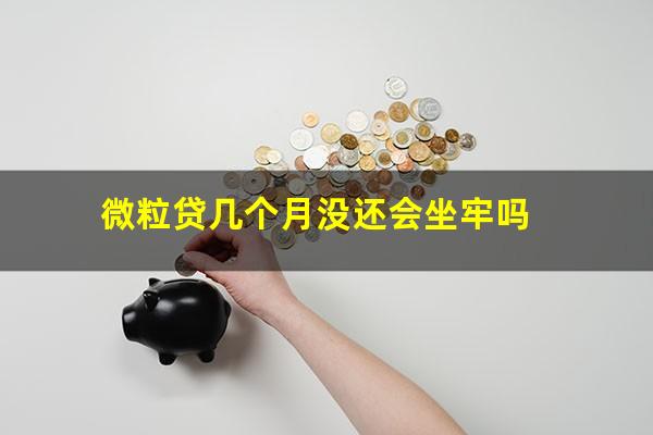 微粒贷几个月没还会坐牢吗