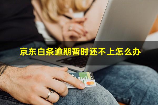 京东白条逾期暂时还不上怎么办