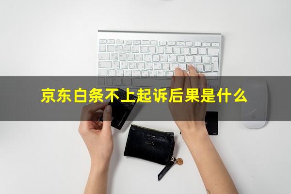 京东白条不上起诉后果是什么?京东白条不还被起诉了会怎么样