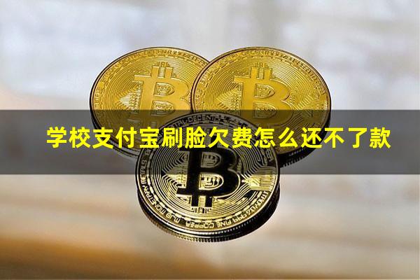 学校支付宝刷脸欠费怎么还不了款