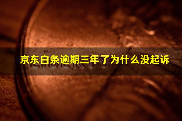 京东白条逾期三年了为什么没起诉?京东白条逾期3年会上门吗