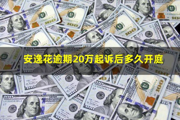 安逸花逾期20万起诉后多久开庭?安逸花逾期20万起诉后多久开庭审理