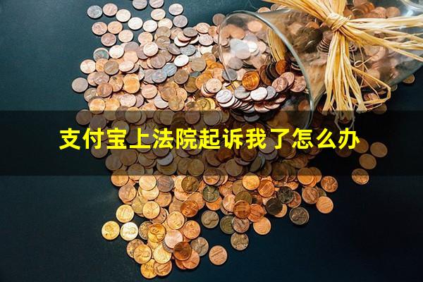 支付宝上法院起诉我了怎么办