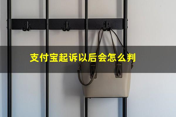 支付宝起诉以后会怎么判