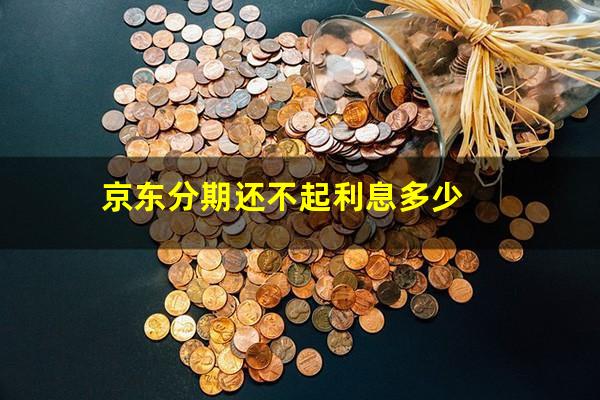 京东分期还不起利息多少