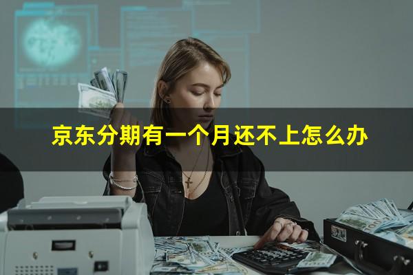 京东分期有一个月还不上怎么办?京东分期一个月没还会怎么样