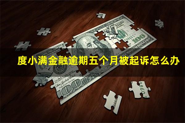 度小满金融逾期五个月被起诉怎么办?度小满金融逾期多久上征信