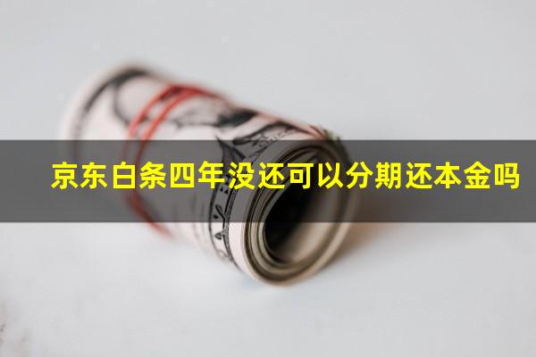 京东白条四年没还可以分期还本金吗