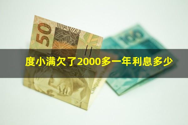 度小满欠了2000多一年利息多少