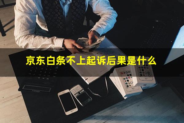 京东白条不上起诉后果是什么