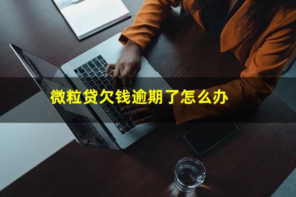 微粒贷欠钱逾期了怎么办?微粒贷逾期暂时无力偿还会怎样