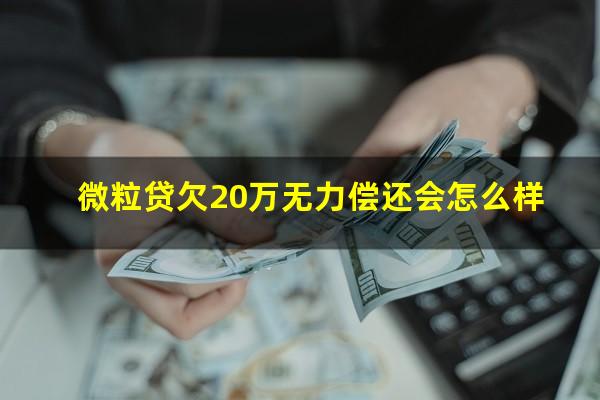 微粒贷欠20万无力偿还会怎么样?微粒贷二十万