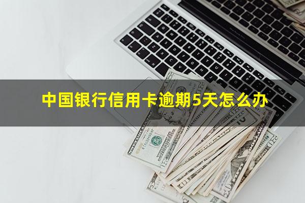 中国银行信用卡逾期5天怎么办