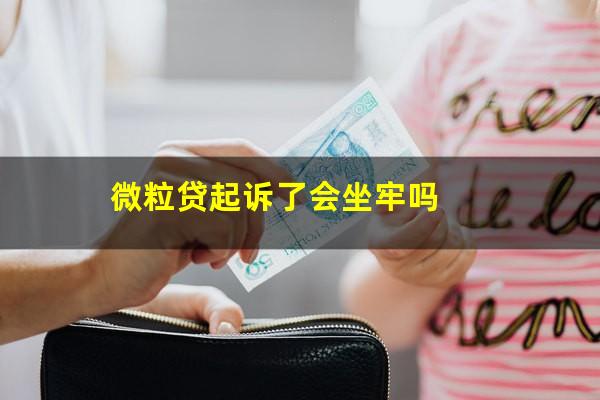 微粒贷起诉了会坐牢吗