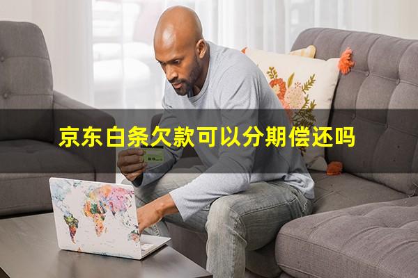 京东白条欠款可以分期偿还吗