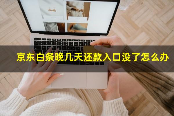 京东白条晚几天还款入口没了怎么办?京东白条晚还两天没事吧