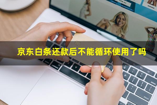 京东白条还款后不能循环使用了吗