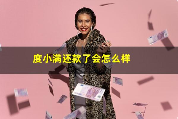 度小满还款了会怎么样?度小满还进去还能借出来吗