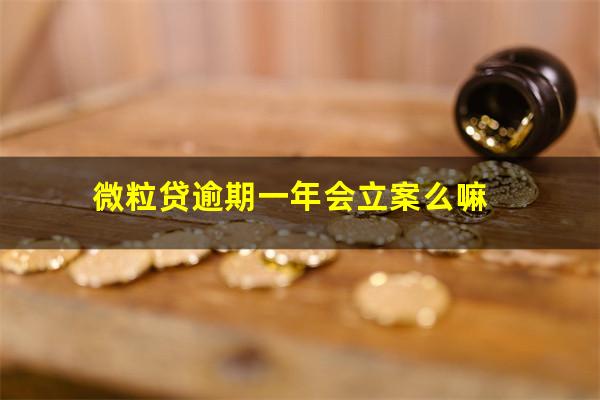 微粒贷逾期一年会立案么嘛